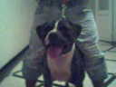                                       D.M et geus